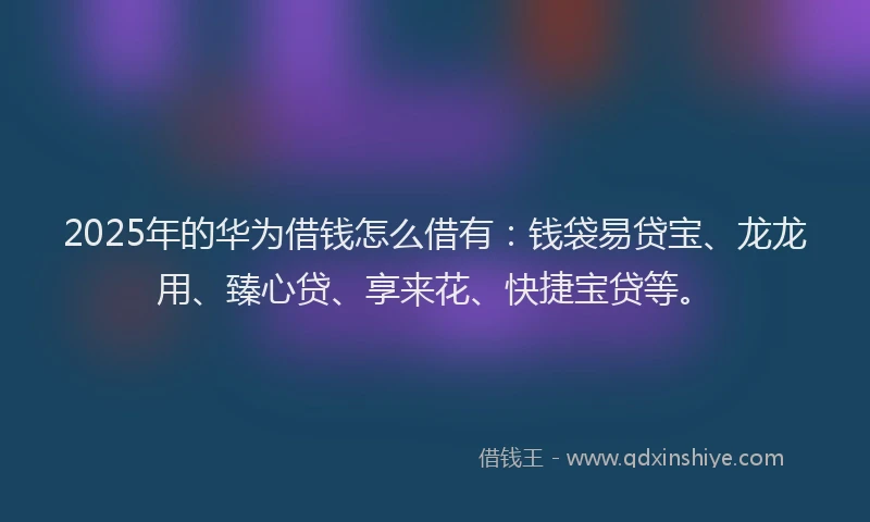 2025年的华为借钱怎么借有：钱袋易贷宝、龙龙用、臻心贷、享来花、快捷宝贷等。