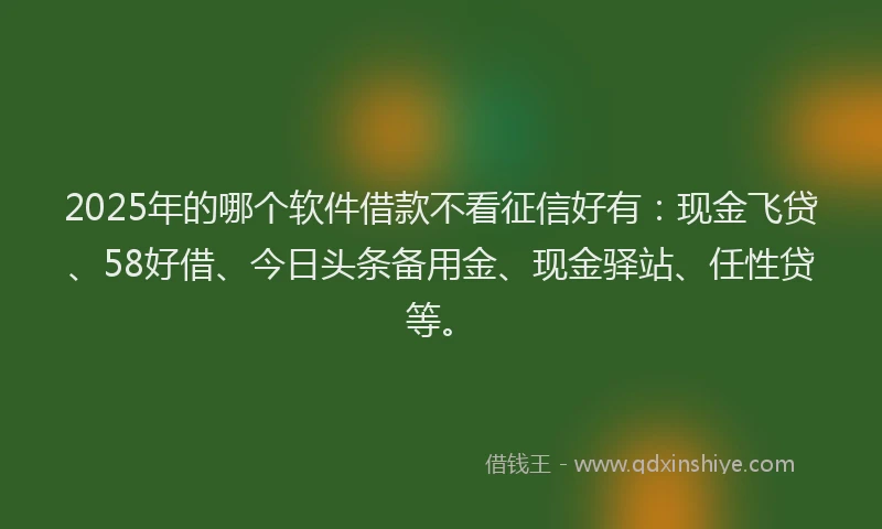 2025年的哪个软件借款不看征信好有：现金飞贷、58好借、今日头条备用金、现金驿站、任性贷等。