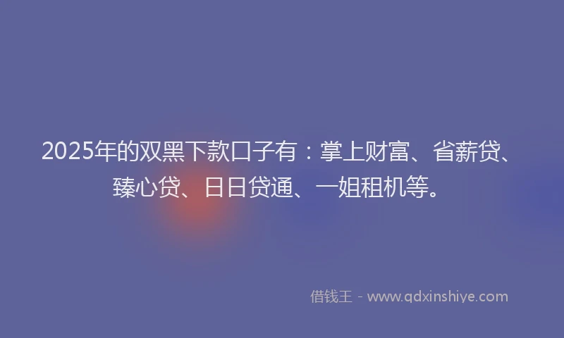 2025年的双黑下款口子有：掌上财富、省薪贷、臻心贷、日日贷通、一姐租机等。