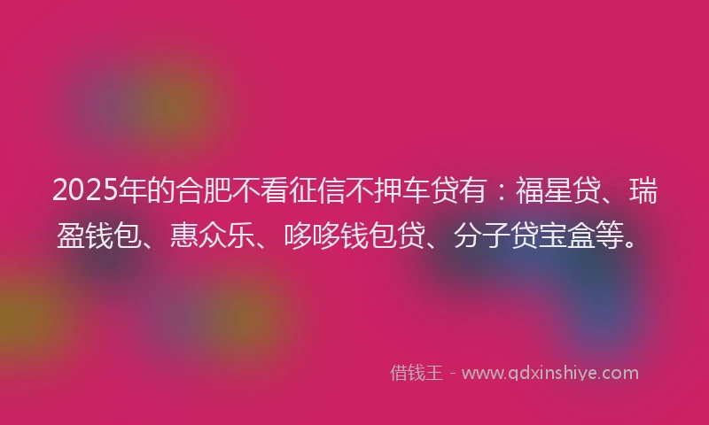 2025年的合肥不看征信不押车贷有：福星贷、瑞盈钱包、惠众乐、哆哆钱包贷、分子贷宝盒等。