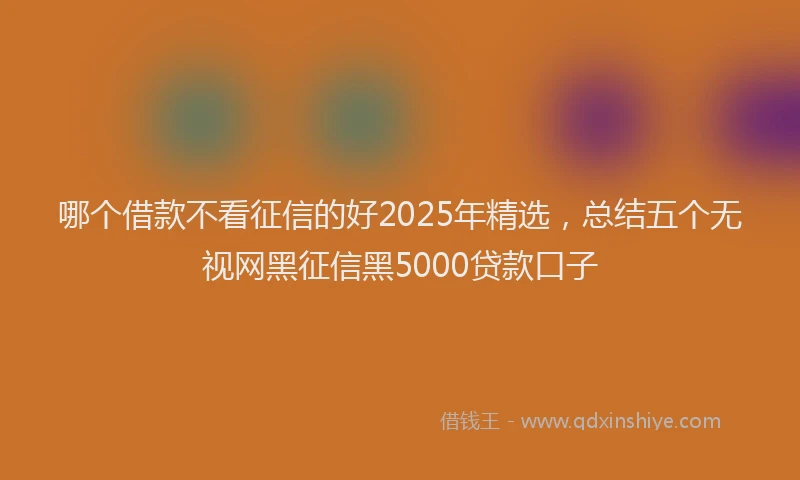 哪个借款不看征信的好2025年精选，总结五个无视网黑征信黑5000贷款口子