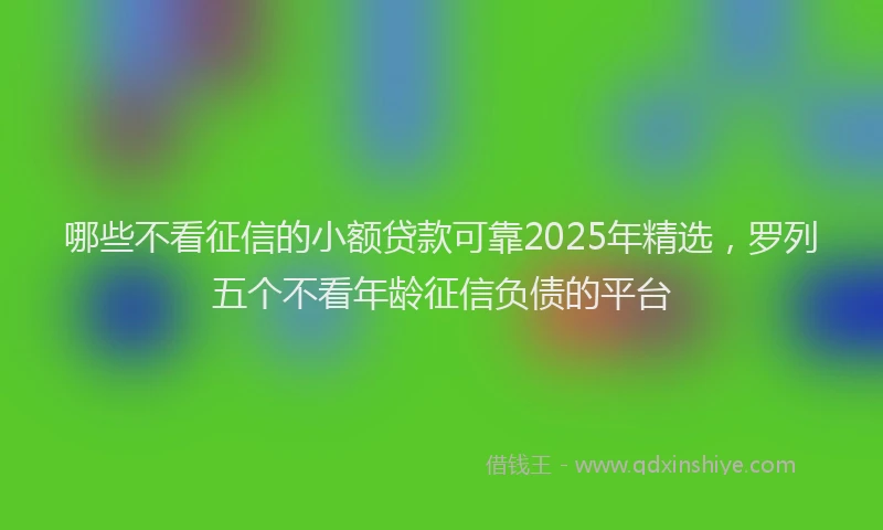 哪些不看征信的小额贷款可靠2025年精选，罗列五个不看年龄征信负债的平台
