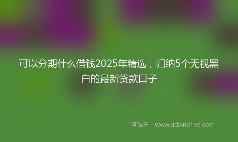 可以分期什么借钱2025年精选，归纳5个无视黑白的最新贷款口子