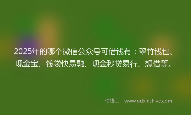 2025年的哪个微信公众号可借钱有：翠竹钱包、现金宝、钱袋快易融、现金秒贷易行、想借等。
