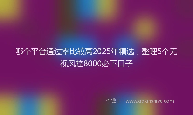 哪个平台通过率比较高2025年精选，整理5个无视风控8000必下口子
