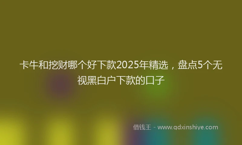 卡牛和挖财哪个好下款2025年精选，盘点5个无视黑白户下款的口子