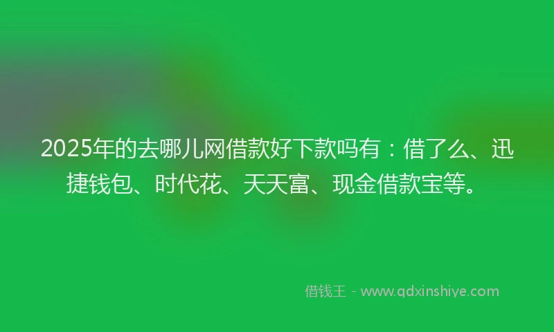 2025年的去哪儿网借款好下款吗有：借了么、迅捷钱包、时代花、天天富、现金借款宝等。