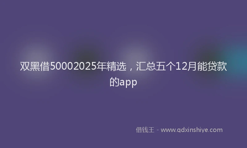 双黑借50002025年精选，汇总五个12月能贷款的app