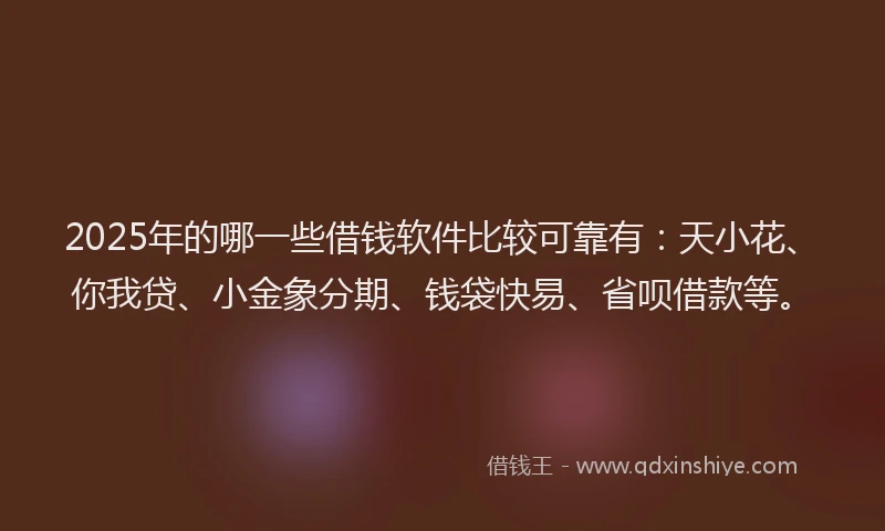 2025年的哪一些借钱软件比较可靠有：天小花、你我贷、小金象分期、钱袋快易、省呗借款等。