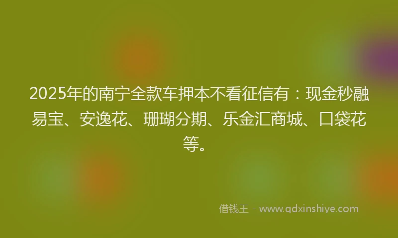 2025年的南宁全款车押本不看征信有：现金秒融易宝、安逸花、珊瑚分期、乐金汇商城、口袋花等。