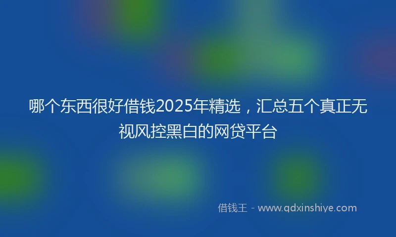 哪个东西很好借钱2025年精选，汇总五个真正无视风控黑白的网贷平台