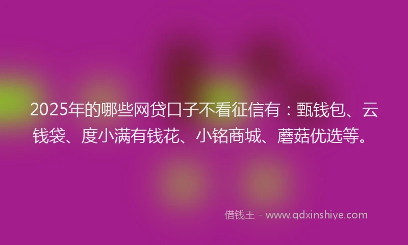 2025年的哪些网贷口子不看征信有：甄钱包、云钱袋、度小满有钱花、小铭商城、蘑菇优选等。