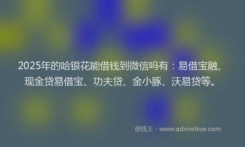 2025年的哈银花能借钱到微信吗有：易借宝融、现金贷易借宝、功夫贷、金小豚、沃易贷等。