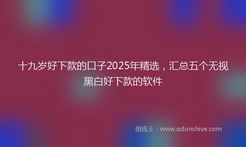 十九岁好下款的口子2025年精选，汇总五个无视黑白好下款的软件