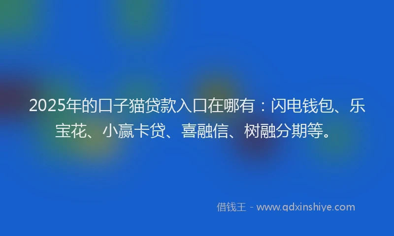 2025年的口子猫贷款入口在哪有：闪电钱包、乐宝花、小赢卡贷、喜融信、树融分期等。