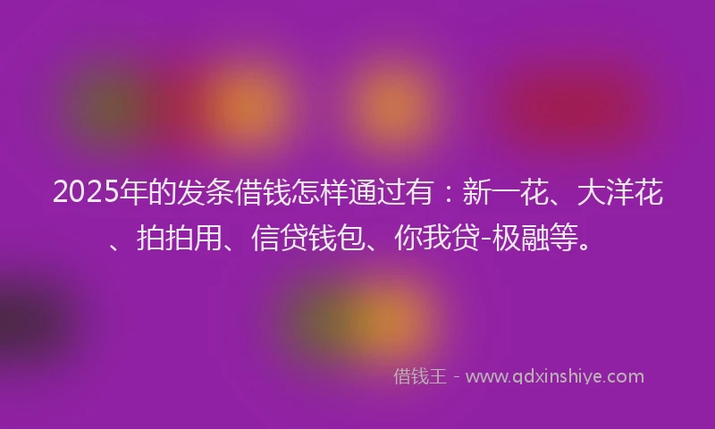 2025年的发条借钱怎样通过有：新一花、大洋花、拍拍用、信贷钱包、你我贷-极融等。