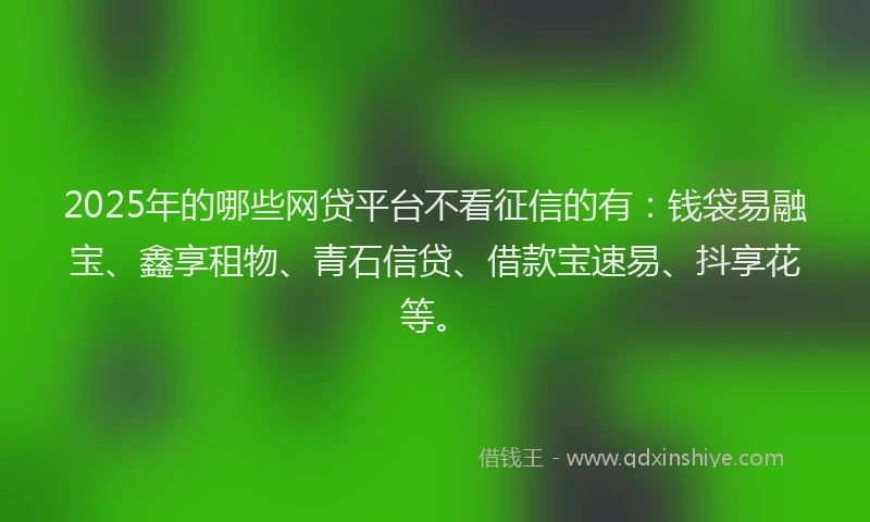 2025年的哪些网贷平台不看征信的有：钱袋易融宝、鑫享租物、青石信贷、借款宝速易、抖享花等。