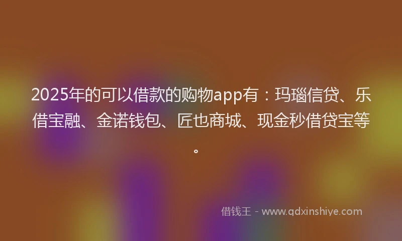 2025年的可以借款的购物app有：玛瑙信贷、乐借宝融、金诺钱包、匠也商城、现金秒借贷宝等。