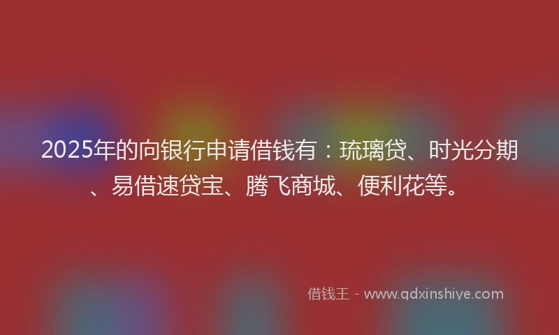 2025年的向银行申请借钱有：琉璃贷、时光分期、易借速贷宝、腾飞商城、便利花等。