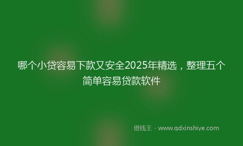 哪个小贷容易下款又安全2025年精选，整理五个简单容易贷款软件