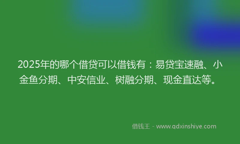 2025年的哪个借贷可以借钱有：易贷宝速融、小金鱼分期、中安信业、树融分期、现金直达等。