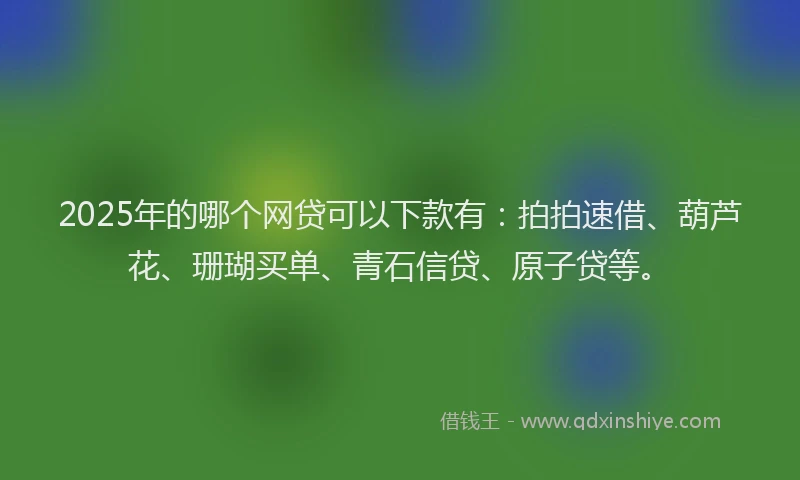 2025年的哪个网贷可以下款有：拍拍速借、葫芦花、珊瑚买单、青石信贷、原子贷等。
