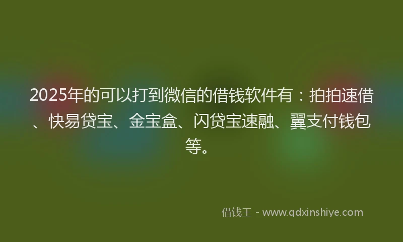 2025年的可以打到微信的借钱软件有：拍拍速借、快易贷宝、金宝盒、闪贷宝速融、翼支付钱包等。