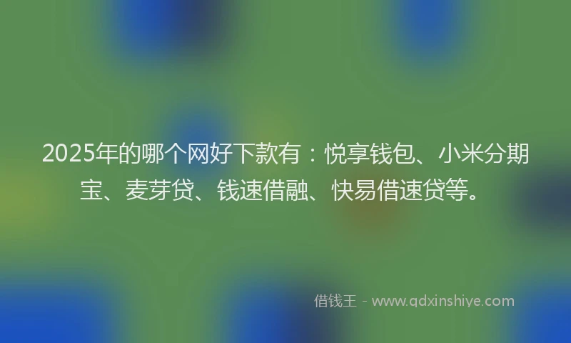 2025年的哪个网好下款有：悦享钱包、小米分期宝、麦芽贷、钱速借融、快易借速贷等。