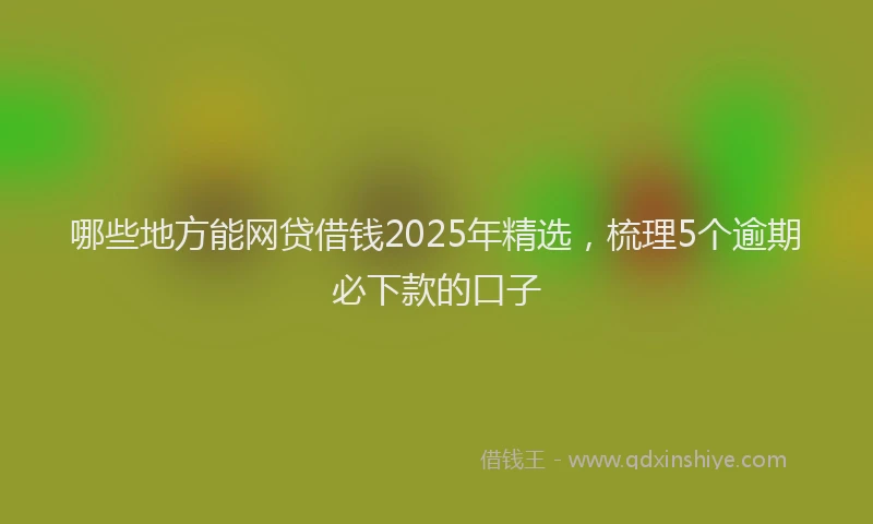 哪些地方能网贷借钱2025年精选，梳理5个逾期必下款的口子