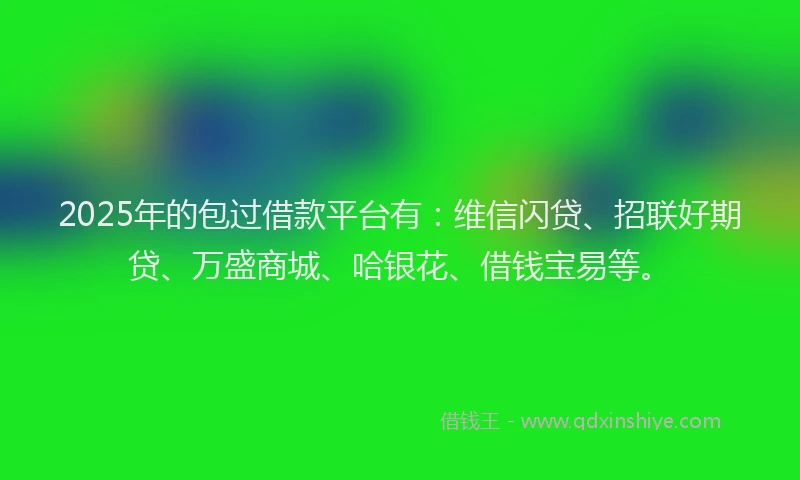 2025年的包过借款平台有：维信闪贷、招联好期贷、万盛商城、哈银花、借钱宝易等。