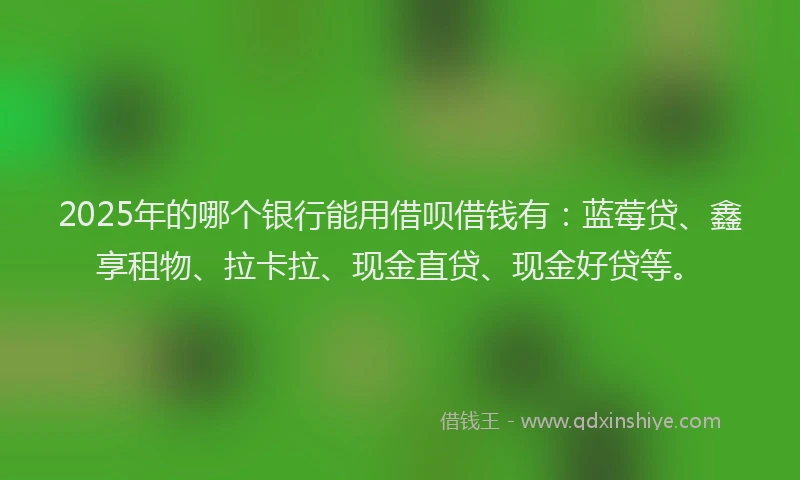 2025年的哪个银行能用借呗借钱有：蓝莓贷、鑫享租物、拉卡拉、现金直贷、现金好贷等。