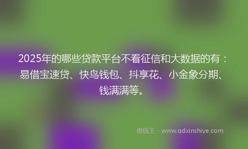 2025年的哪些贷款平台不看征信和大数据的有：易借宝速贷、快鸟钱包、抖享花、小金象分期、钱满满等。
