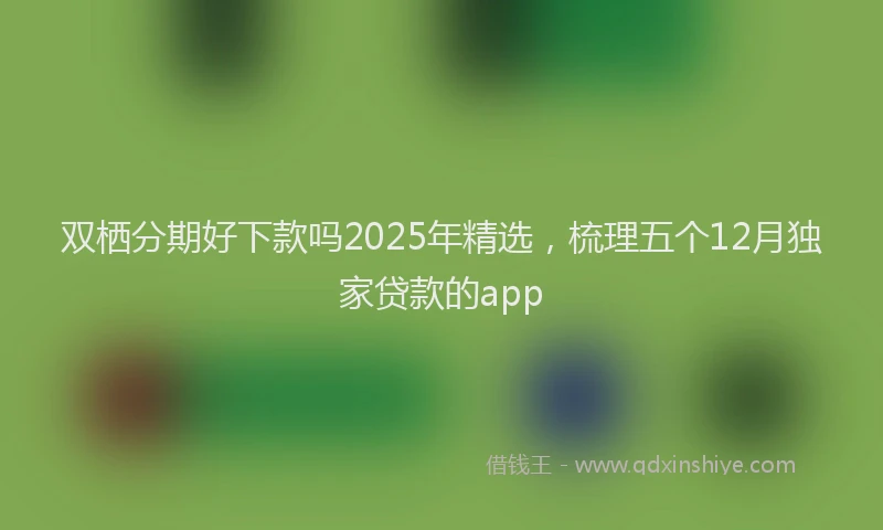双栖分期好下款吗2025年精选，梳理五个12月独家贷款的app