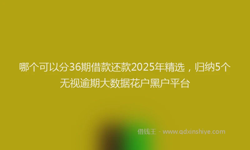 哪个可以分36期借款还款2025年精选，归纳5个无视逾期大数据花户黑户平台