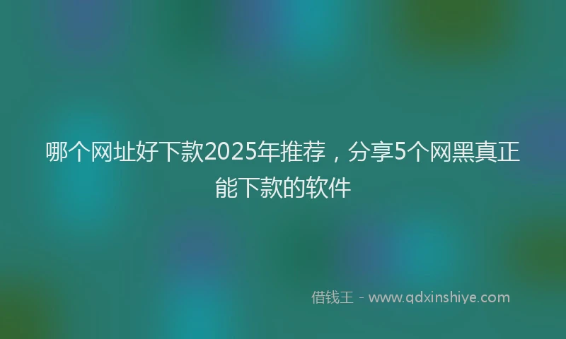 哪个网址好下款2025年推荐，分享5个网黑真正能下款的软件