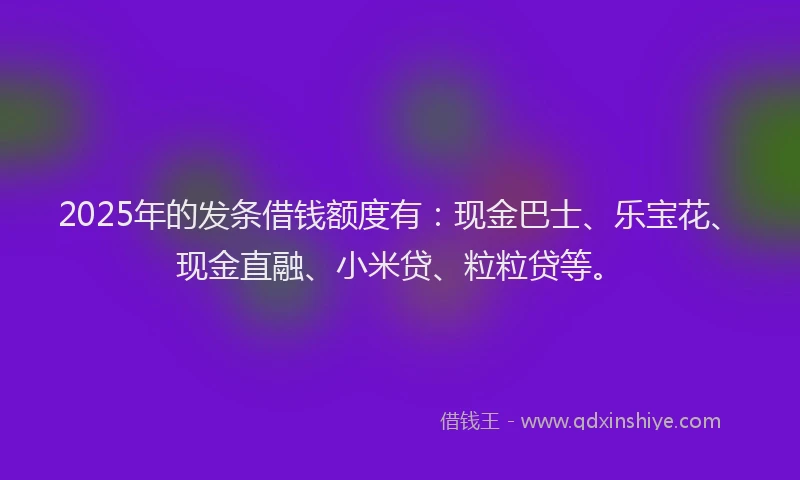 2025年的发条借钱额度有：现金巴士、乐宝花、现金直融、小米贷、粒粒贷等。