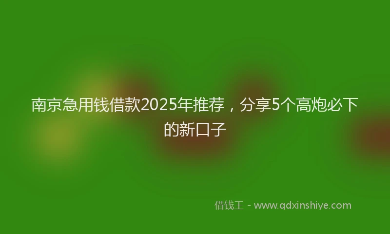 南京急用钱借款2025年推荐，分享5个高炮必下的新口子