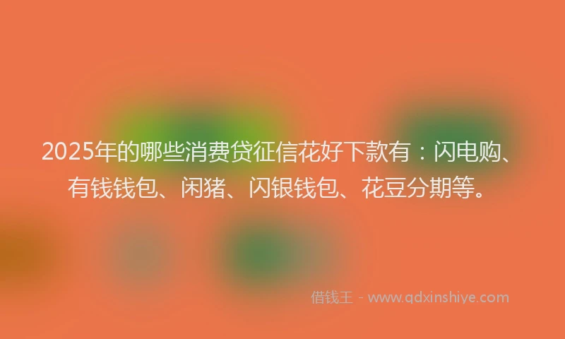2025年的哪些消费贷征信花好下款有：闪电购、有钱钱包、闲猪、闪银钱包、花豆分期等。
