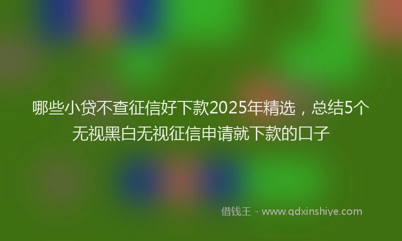 哪些小贷不查征信好下款2025年精选，总结5个无视黑白无视征信申请就下款的口子