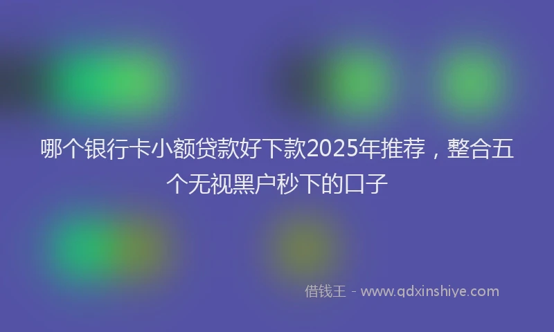哪个银行卡小额贷款好下款2025年推荐，整合五个无视黑户秒下的口子