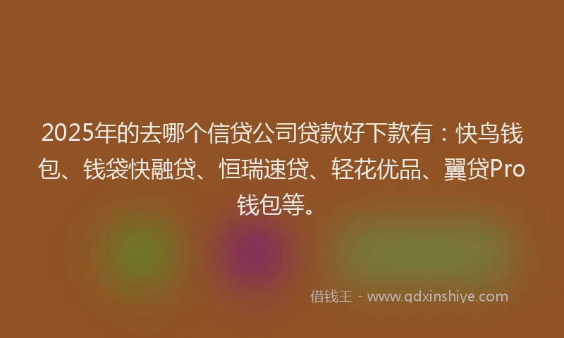 2025年的去哪个信贷公司贷款好下款有：快鸟钱包、钱袋快融贷、恒瑞速贷、轻花优品、翼贷Pro钱包等。