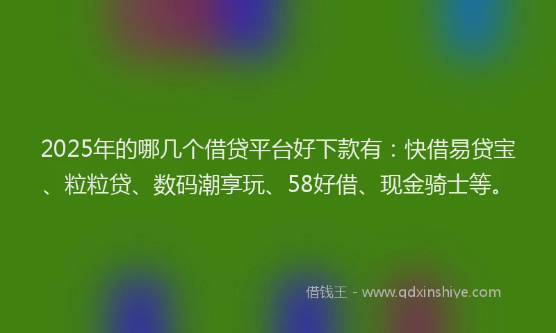 2025年的哪几个借贷平台好下款有：快借易贷宝、粒粒贷、数码潮享玩、58好借、现金骑士等。