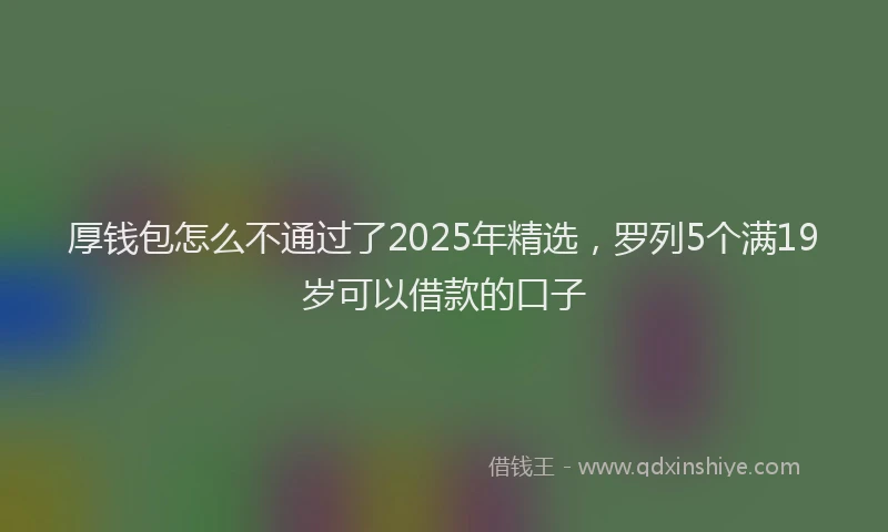 厚钱包怎么不通过了2025年精选，罗列5个满19岁可以借款的口子