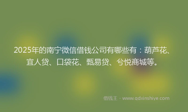 2025年的南宁微信借钱公司有哪些有：葫芦花、宜人贷、口袋花、甄易贷、兮悦商城等。