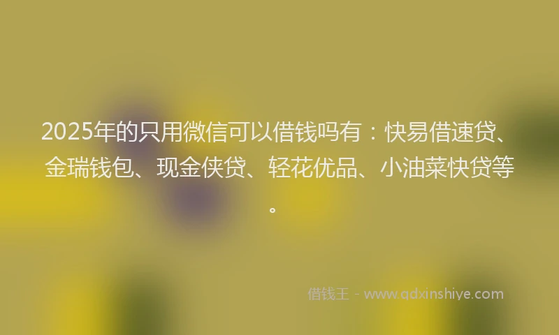 2025年的只用微信可以借钱吗有：快易借速贷、金瑞钱包、现金侠贷、轻花优品、小油菜快贷等。