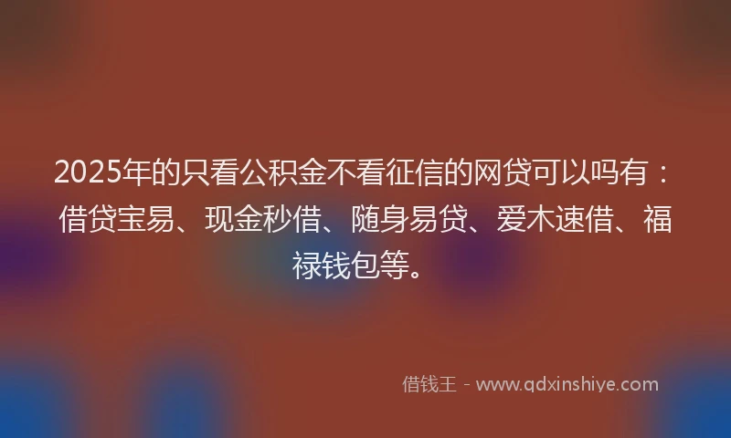 2025年的只看公积金不看征信的网贷可以吗有：借贷宝易、现金秒借、随身易贷、爱木速借、福禄钱包等。