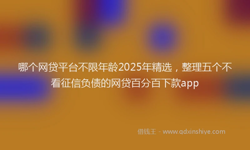 哪个网贷平台不限年龄2025年精选，整理五个不看征信负债的网贷百分百下款app