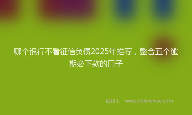 哪个银行不看征信负债2025年推荐，整合五个逾期必下款的口子