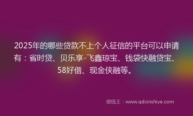 2025年的哪些贷款不上个人征信的平台可以申请有：省时贷、贝乐享-飞鑫琼宝、钱袋快融贷宝、58好借、现金侠融等。