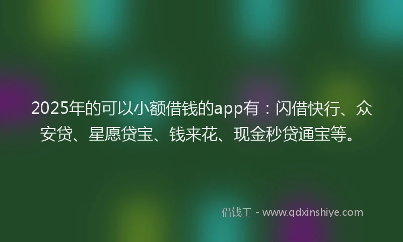 2025年的可以小额借钱的app有：闪借快行、众安贷、星愿贷宝、钱来花、现金秒贷通宝等。
